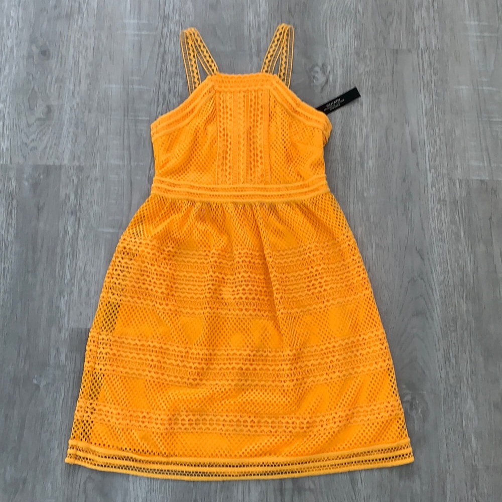 Tahari Dress